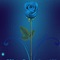 Dark Descent: The Blue Rose