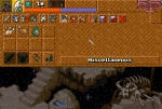 Screenshots Heimdall 2: Into The Hall of Worlds 