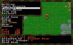 Screenshots Questron II 