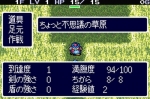 Screenshots Dragon Quest Characters: Torneko no Daibouken 2 Advance 