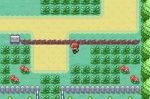 Screenshots Pokémon Vert Feuille 