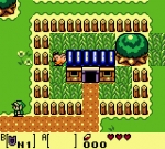 Screenshots The Legend of Zelda: Link's Awakening DX Poum poum poum, promenons-nous dans le village