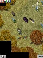 Screenshots The Chronicles of Avael: The Chimaera Stones Lors d'un combat, le groupe est divisé