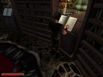 Screenshots Gothic II 