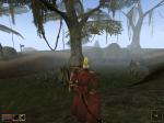 Screenshots The Elder Scrolls III: Morrowind Par où vais-je aller maintenant ?