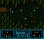 Screenshots Dungeon Explorer II - Hudson 