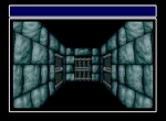 Screenshots Wizardry III-IV 