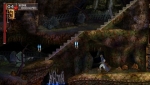 Screenshots Castlevania: The Dracula X Chronicles Un peu prise de tête pour arriver ici...