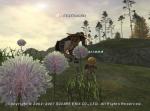 Screenshots Final Fantasy XI Buco bucolique