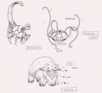 Artworks Evolution Worlds 