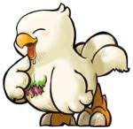 Artworks Final Fantasy Fables: Chocobo Tales 