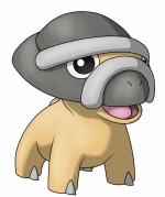 Artworks Pokémon Ranger: Nuit sur Almia 