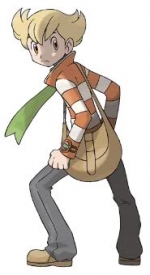 Artworks Pokémon Platine 