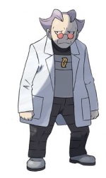 Artworks Pokémon Platine 