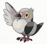 Artworks Pokémon: Version Blanche 