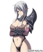 Artworks Dungeon Crusaderz 2 