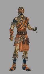 Artworks Guild Wars: Factions Un ritualiste homme