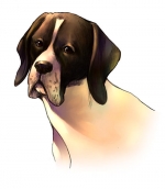 Artworks Parasite Eve II 