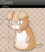 Artworks Summon Night 