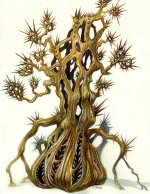 Artworks Drakan: The Ancients' Gates 