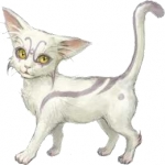 Artworks Zill O'll Infinite 