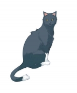 Artworks Mana Khemia: Student Alliance Sulpher