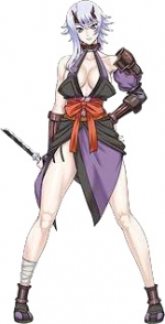 Artworks Queen's Blade: Spiral Chaos 