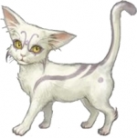 Artworks Zill O'll Infinite Plus 