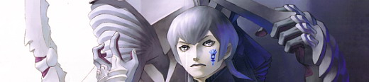 Shin Megami Tensei: Digital Devil Saga