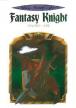 Fantasy Knight