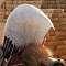 Assassin’s Creed: Origins - Ceux qu’on ne voit pas