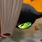 Lovecraft's Cat