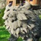 image_jeu_collect
