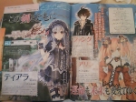 Scans Fairy Fencer F
