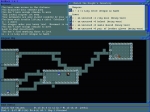 Screenshots NetHack 