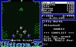 Screenshots Ultima V: Warriors of Destiny 