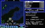 Screenshots Ultima V: Warriors of Destiny 