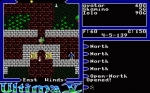 Screenshots Ultima V: Warriors of Destiny 