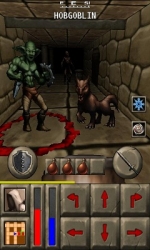 Screenshots Deadly Dungeons 