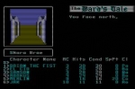 Screenshots The Bard's Tale: Tales of the Unknown 