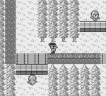 Screenshots Final Fantasy Legend 