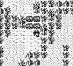 Screenshots Gargoyle's Quest Enfin un village en vue !