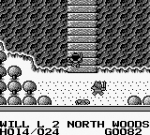 Screenshots Knight Quest Un pont, de l'eau...