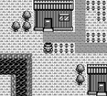 Screenshots Monster * Race 