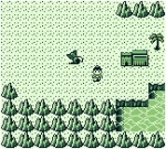 Screenshots Ninja Boy II 