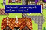 Lufia: The Ruins of Lore