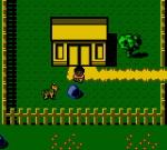 Screenshots Animorphs 