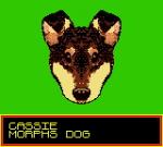 Screenshots Animorphs 