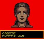 Screenshots Animorphs 