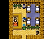 Screenshots Dragon Warrior Monsters 2: Cobi's Journey 